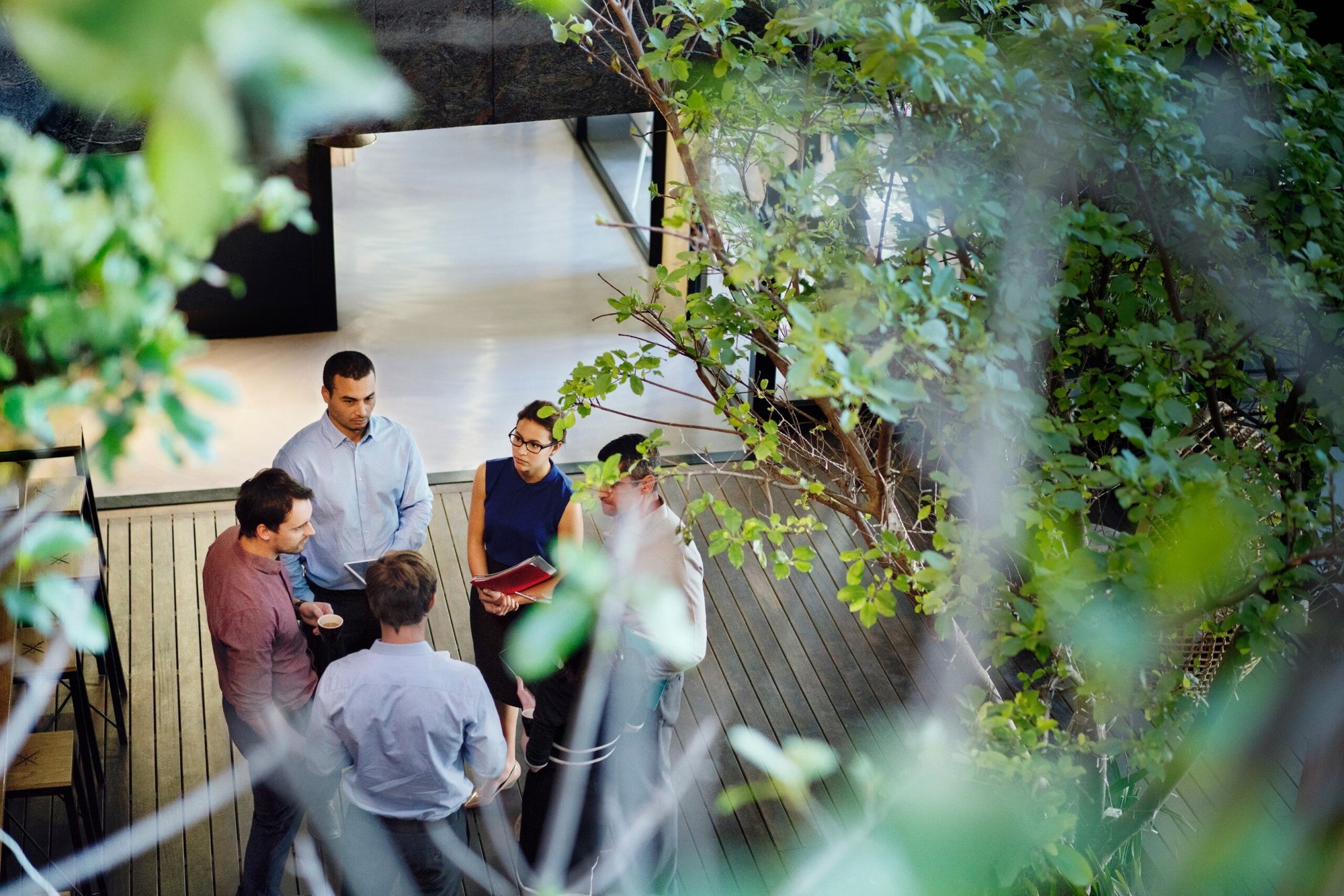 Header_Sustainability Report 2024 group of people colleagues in green office 20250207 GLO EN