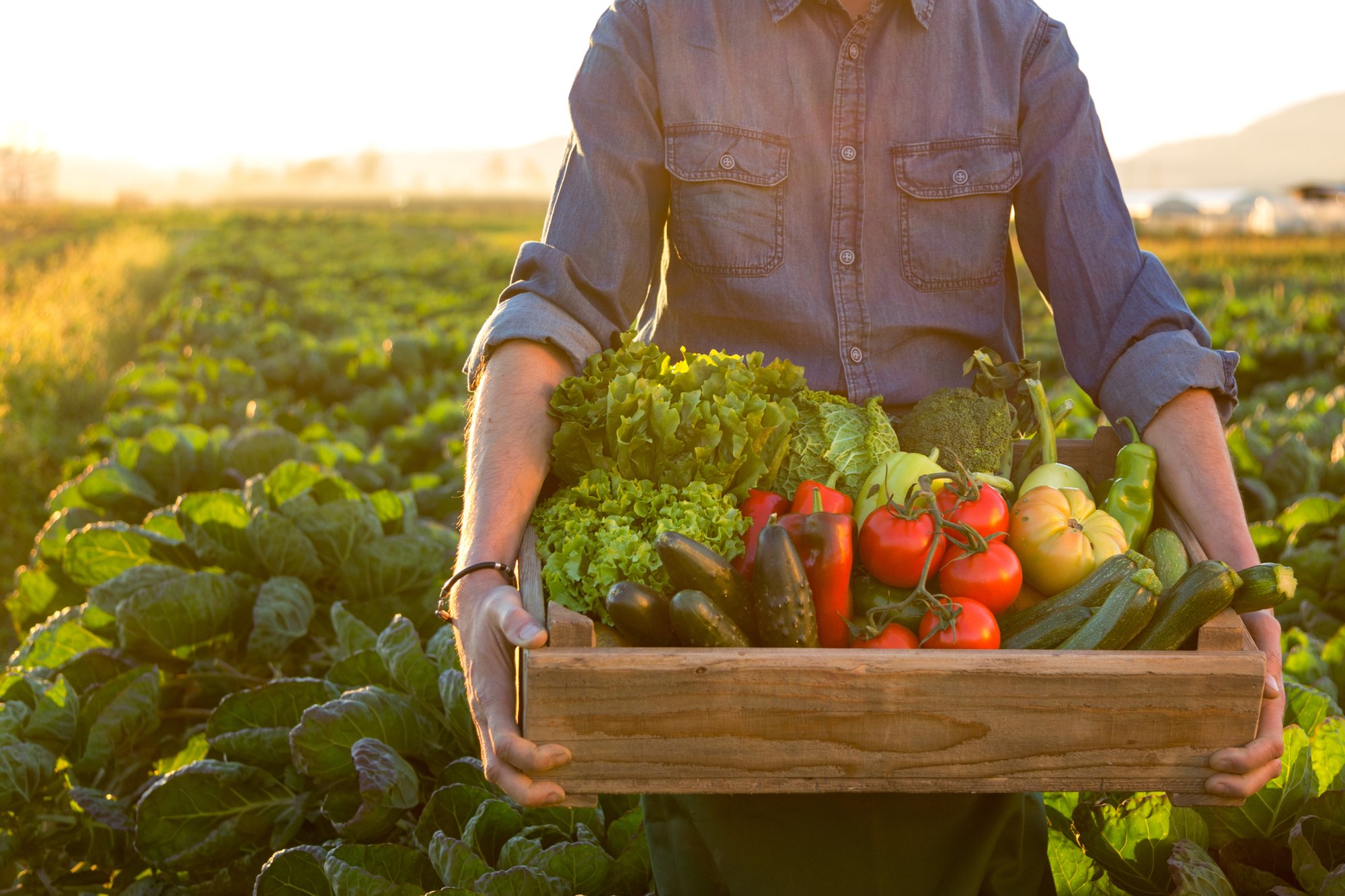 Header_Image picture farmer carrying crate with vegetables 20200525 GLO EN